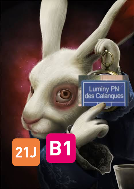 All roads lead to Luminy Parc National des Calanques